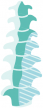 spinal support spinal support